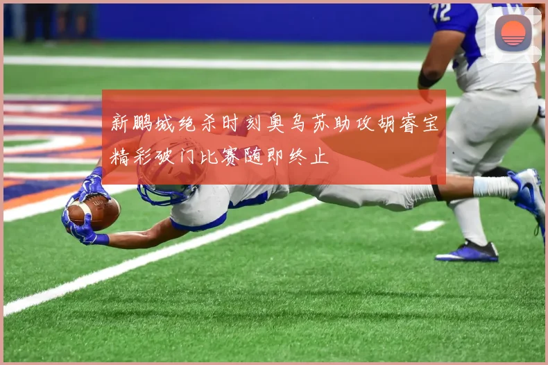 新鹏城绝杀时刻奥乌苏助攻胡睿宝精彩破门比赛随即终止